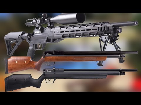 Top 10 Best Affordable PCP Air Rifles 2023 - Best PCP Air Rifle
