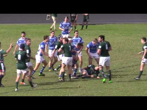 2016 Christmas Highlights