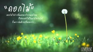 ดอกไม้ Dojo City