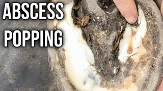 Painful Abscess Gets Popped