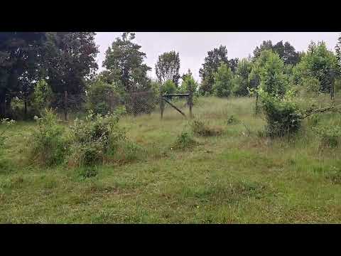 Parcela en sector Chuyaquen-Maullin