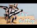 Another Banger Metal Cardbot S Sky Gallop Review