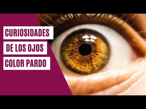 Personas de ojos pardos | Curiosidades del misterioso color de ojos avellana
