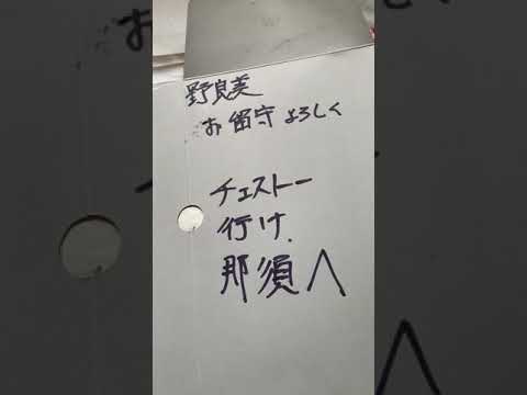 カブデブブラブラ12