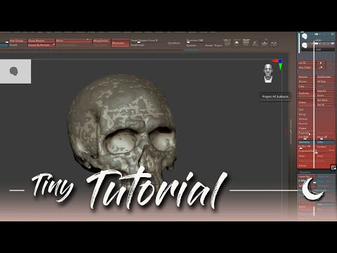 🌙 Zbrush ✣ How to project high details on a low poly model / #10