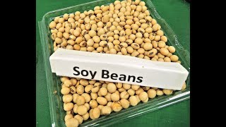 Is Soy Bad for You Examining Both Sides of the Argument