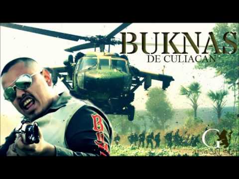 Caballeros Templarios   Buknas De Culiacan Estudio 2012