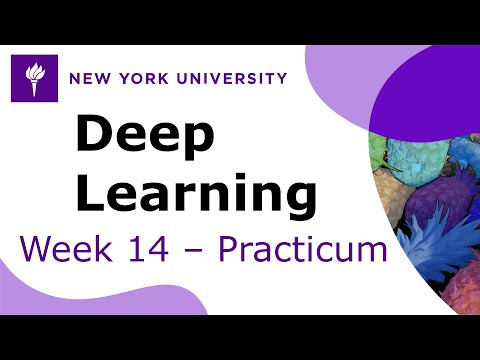 Week 14 – Practicum: Overfitting and regularization, and Bayesian neural nets