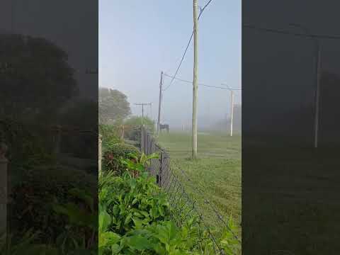 Niebla en Esperanza