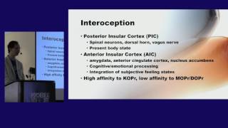 Peter Addy: Therapeutic Potential of the Plant Salvia Divinorum