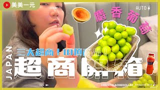 【2024日本京阪】ep.7開箱18項日本三大超商＆超市の美食！終於吃到超夯的烤焦糖布蕾冰淇淋！一年只能吃一次的夢幻逸品“麝香葡萄”！還有能助眠的乳酸菌1000？！｜美美一元 Japan Kansai