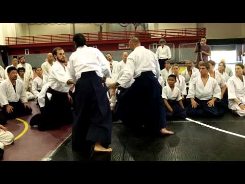 Yoko Okamoto: Tai no henko