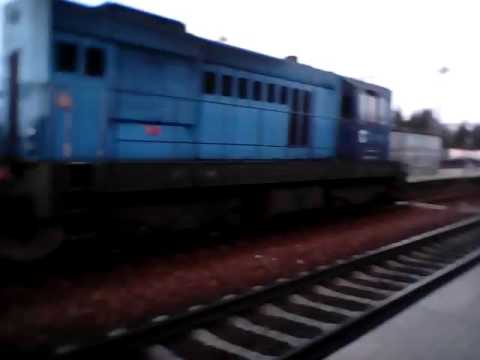 Praha Uhříněvsi čmelák