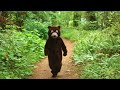 Adult Swim Bump Bear Costume Attack 2011