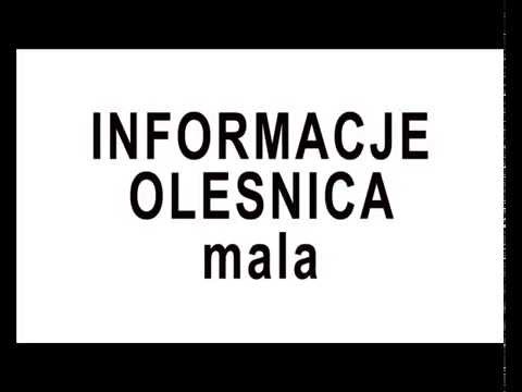 i olesnica informacje ogłoszenia i oleśnica mała pl najnofsze wieści z oleśnicy