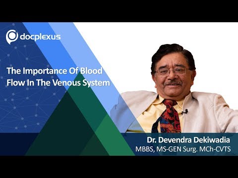 The Importance Of Blood Flow In The Venous System