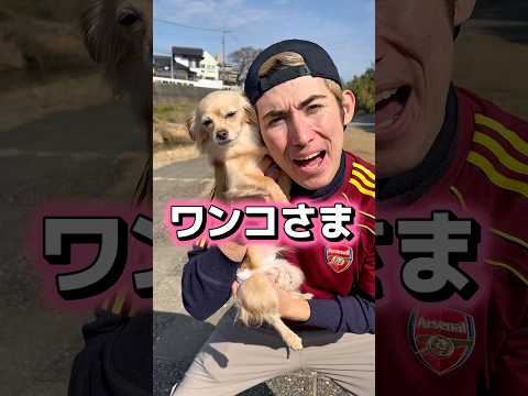 12ヶ月間つめてぇぇぇ涙が出るワンコのうた🐕#shorts