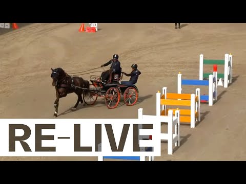 RE-LIVE| Special Combined Marathon 6 year old | FEI Driving World Championship for Young Horses 2021