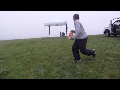 RC Flying through a canopy v2