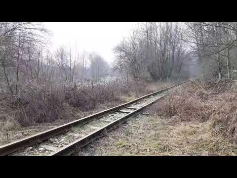 Horn show by 87-0053 izolată prin Genuneni cu direcția Bistrița