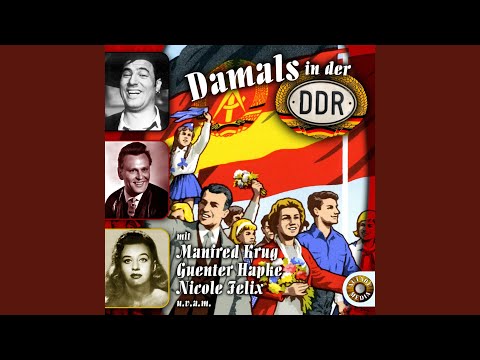 Schwarzer Kater Stanislaus