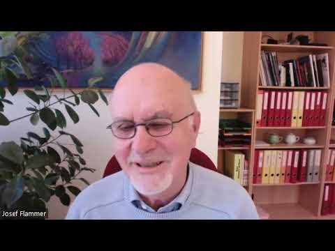 Glaukom, Normaldruckglaukom, Flammer-Syndrom