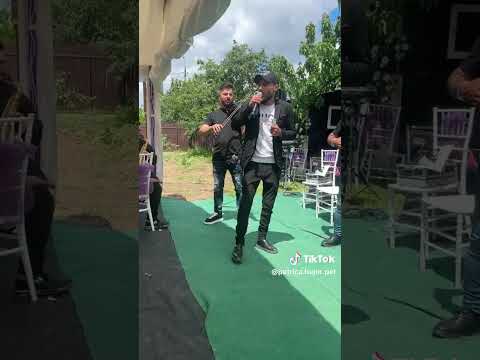 Petrica De La Campurelu - Frunzulița a bobului La nunta băiatului 