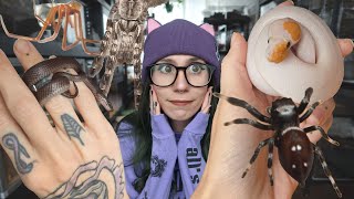 10+ NEW ANIMALS (True Spiders, Tarantulas, Snakes & More!) $$$hopping NARBC St Louis Reptile Expo