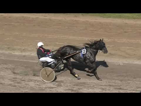 Trka "Birbodelaquercia" 17.10.2021 Daphne de Faverol - Branko Skenderović