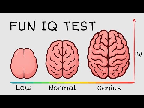 Only 9% Can Pass This IQ Test – Can You?