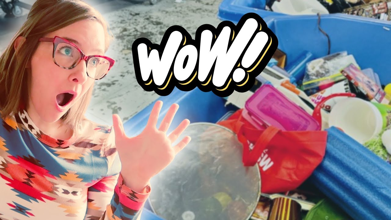 Couldn't Believe This Find At The Goodwill Bins!