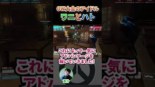 【OW2】大会で映るワニとハトも全力で実況する蒼汁【gappo3/hoshimi】#ow2 #オーバーウォッチ2