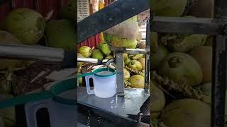 Download lagu Usaha jualan es kelapa muda yang cerdas mp3 Download lagu Usaha jualan es kelapa muda yang cerdas mp3