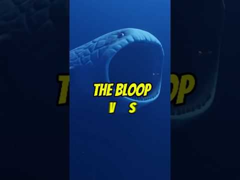 The bloop vs el grande maja