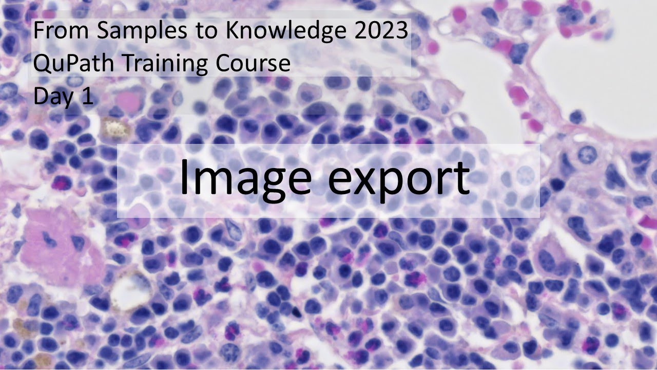 Data Visualization and Image Export