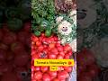 Tomato Nowadays Part 2 Price Drops Shorts