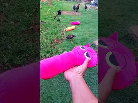 Cute Sprunki Doll ❤️ #toys #sprunki #cutesprunki #reverse