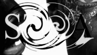 Mixing Colors On The Corpuscle Canvas (Van She-Mission)