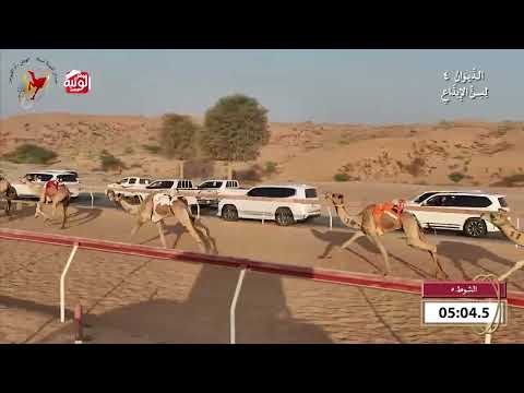  ش 5 (طيف) لـ محمد حمد راشد الغفلي 8:00 , شارة الديوان 4 2026/10/25 اللبسه ايذاع 