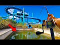 Big Fish In The Abandoned Water Park