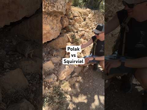 JSON spotyka squirviela, który się go nie boi