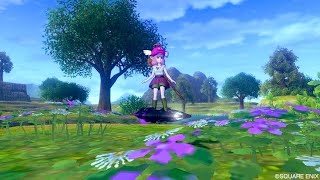 【ドラクエ10体験版/PS4 】#3 完全初見プレイ　まったり～【ドラクエX】