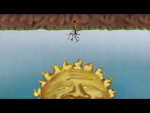 Younger Hunger - Running from the Sun