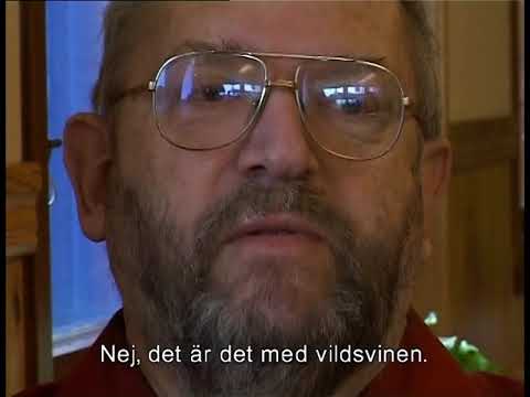 Plötsligt i Vinslöv: Bonusmaterial – Vildsvin