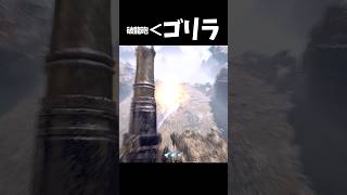 破龍砲4個分の力を持つ激昂ラージャン