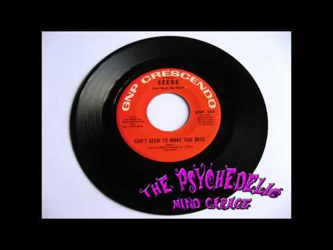 THE SEEDS - Can't Seem To Make You Mine