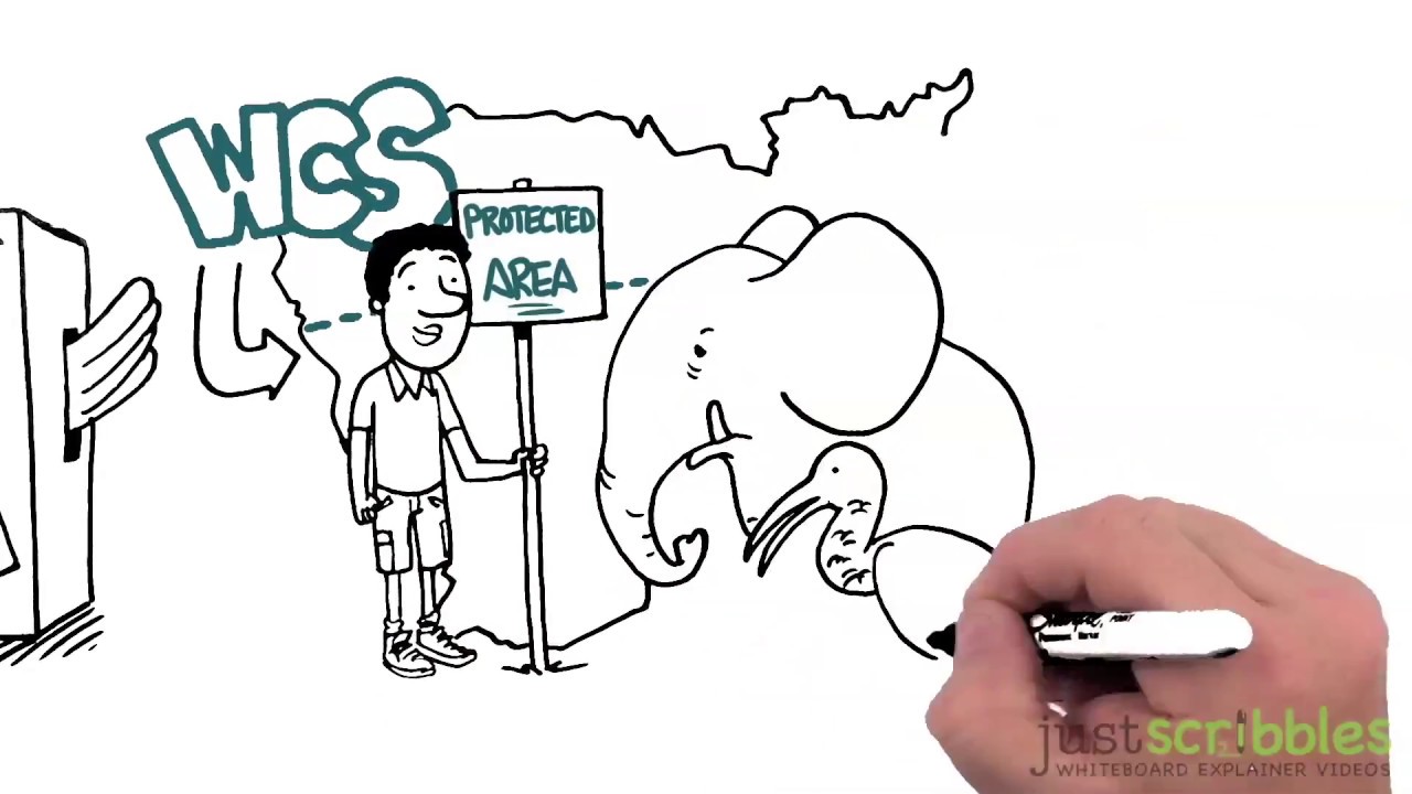 Conservation Enterprise Development Program | WCS