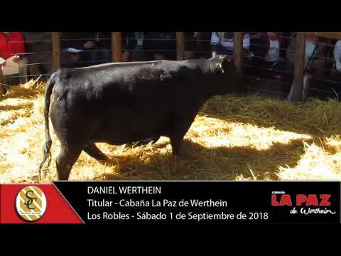 01-09-18 Nota Daniel Werthein - Titular - Cabaña La Paz de Werthein - Los Robles, La Pampa