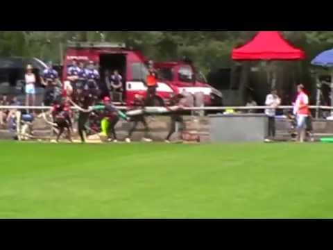 Lanžhot 5.7.2014 - DHZ Letničie