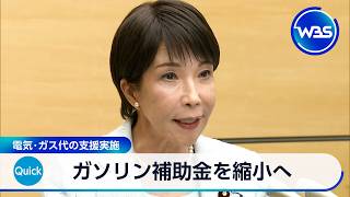 ガソリン補助金を縮小へ 電気･ガス代の支援実施【WBS】